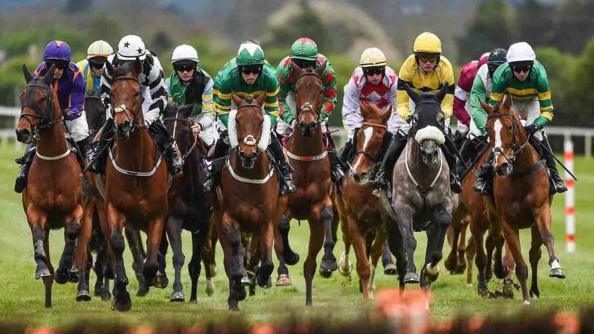 Things to keep in mind when betting on horses