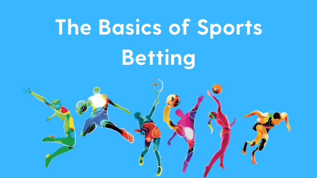 Basics of Sports Betting in India: guide from Odds96 bookmaker