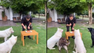 WATCH: MS Dhoni celebrates his Birthday with pet dogs at his Ranchi farmhouse; Feeds them cake